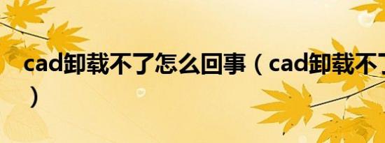 cad卸载不了怎么回事（cad卸载不了怎么办）