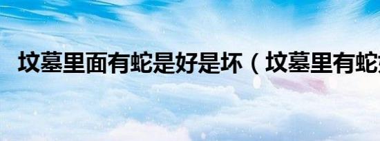 坟墓里面有蛇是好是坏（坟墓里有蛇好吗）