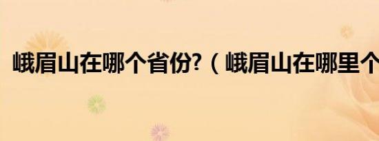 峨眉山在哪个省份?（峨眉山在哪里个城市）