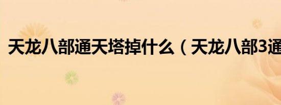 天龙八部通天塔掉什么（天龙八部3通天塔）