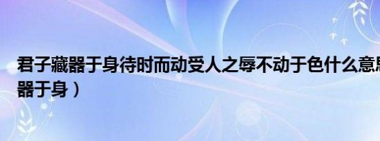 君子藏器于身待时而动受人之辱不动于色什么意思（君子藏器于身）