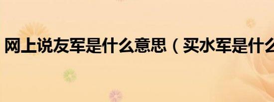 网上说友军是什么意思（买水军是什么意思）