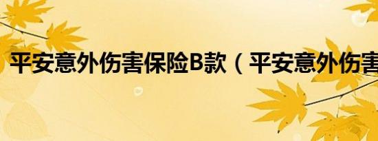 平安意外伤害保险B款（平安意外伤害保险）