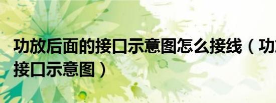 功放后面的接口示意图怎么接线（功放后面的接口示意图）