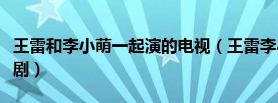王雷和李小萌一起演的电视（王雷李小萌电视剧）