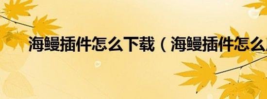 海鳗插件怎么下载（海鳗插件怎么用）