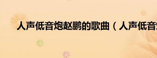 人声低音炮赵鹏的歌曲（人声低音炮）