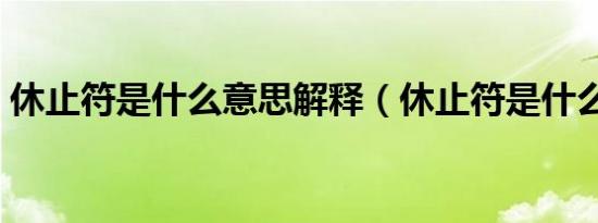 休止符是什么意思解释（休止符是什么意思）