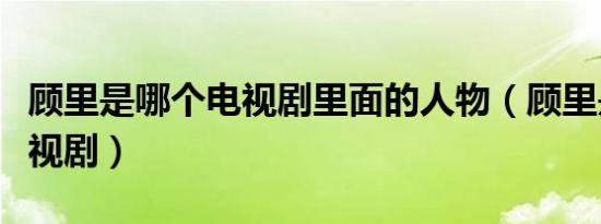顾里是哪个电视剧里面的人物（顾里是什么电视剧）