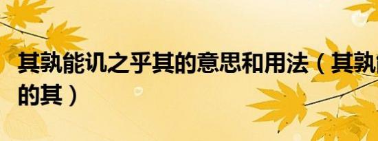 其孰能讥之乎其的意思和用法（其孰能讥之乎的其）