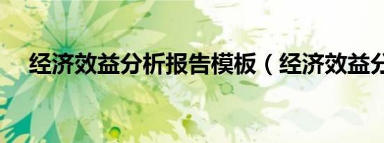 经济效益分析报告模板（经济效益分析）