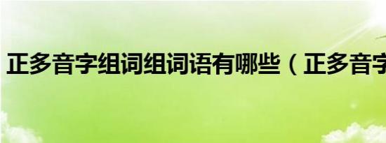 正多音字组词组词语有哪些（正多音字组词）