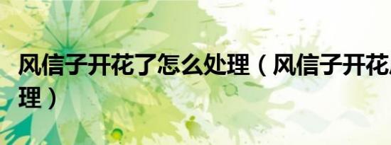 风信子开花了怎么处理（风信子开花后怎么处理）