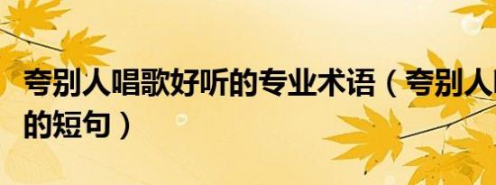夸别人唱歌好听的专业术语（夸别人唱歌好听的短句）