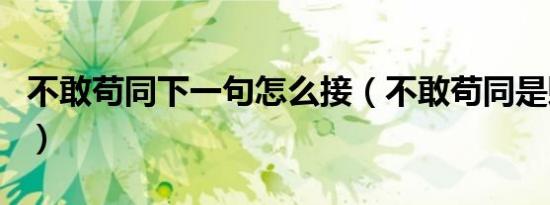 不敢苟同下一句怎么接（不敢苟同是贬义词吗）