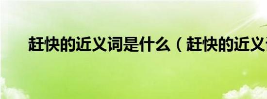 赶快的近义词是什么（赶快的近义词）