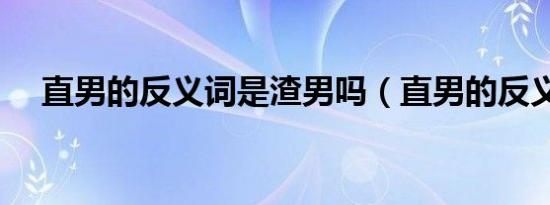 直男的反义词是渣男吗（直男的反义词）