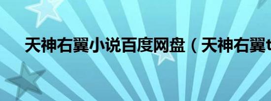 天神右翼小说百度网盘（天神右翼txt）