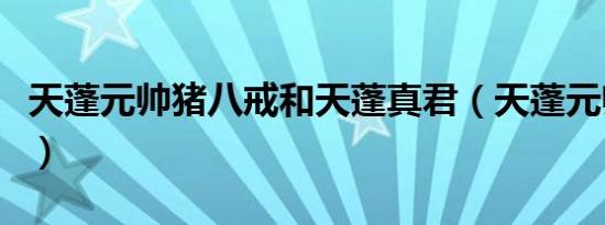 天蓬元帅猪八戒和天蓬真君（天蓬元帅猪八戒）