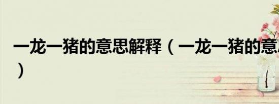 一龙一猪的意思解释（一龙一猪的意思是什么）
