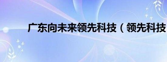 广东向未来领先科技（领先科技）