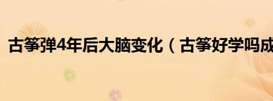 古筝弹4年后大脑变化（古筝好学吗成人学）