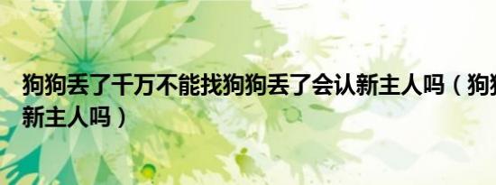 狗狗丢了千万不能找狗狗丢了会认新主人吗（狗狗丢了会认新主人吗）