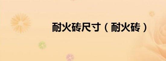 耐火砖尺寸（耐火砖）