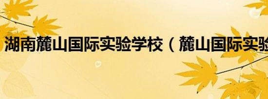 湖南麓山国际实验学校（麓山国际实验中学）