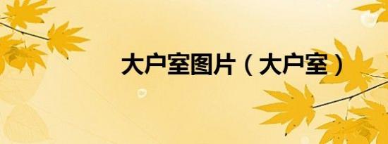 大户室图片（大户室）