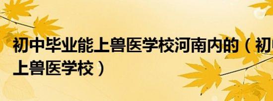 初中毕业能上兽医学校河南内的（初中毕业能上兽医学校）