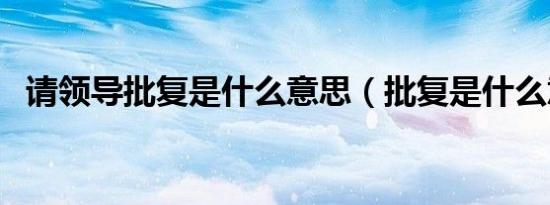 请领导批复是什么意思（批复是什么意思）
