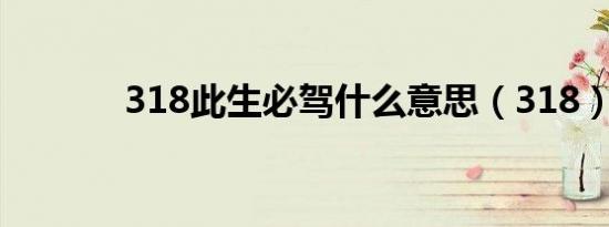 318此生必驾什么意思（318）