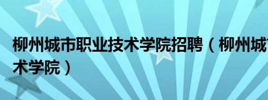 柳州城市职业技术学院招聘（柳州城市职业技术学院）