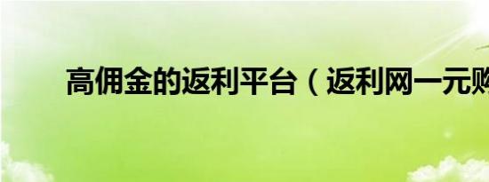 高佣金的返利平台（返利网一元购）
