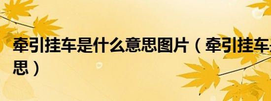 牵引挂车是什么意思图片（牵引挂车是什么意思）
