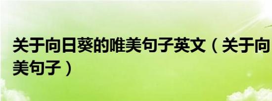 关于向日葵的唯美句子英文（关于向日葵的唯美句子）