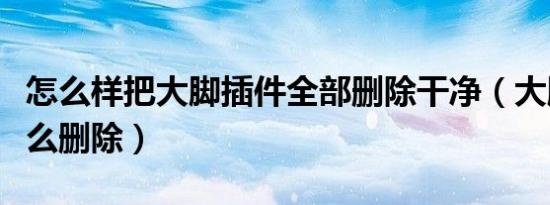 怎么样把大脚插件全部删除干净（大脚插件怎么删除）