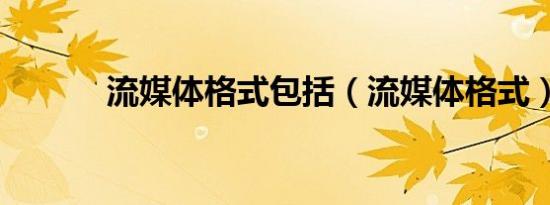 流媒体格式包括（流媒体格式）