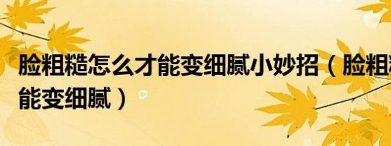 脸粗糙怎么才能变细腻小妙招（脸粗糙怎么才能变细腻）