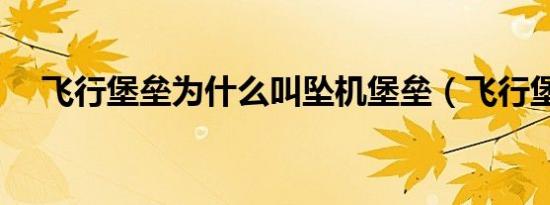 飞行堡垒为什么叫坠机堡垒（飞行堡垒）