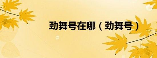 劲舞号在哪（劲舞号）