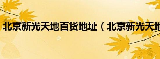 北京新光天地百货地址（北京新光天地百货）