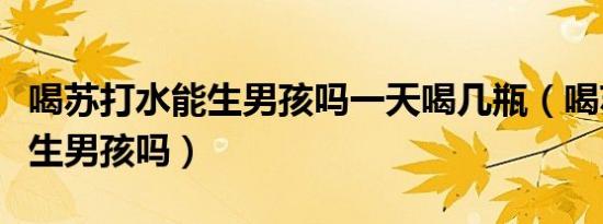 喝苏打水能生男孩吗一天喝几瓶（喝苏打水能生男孩吗）