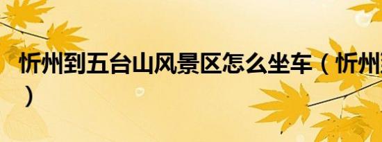 忻州到五台山风景区怎么坐车（忻州到五台山）