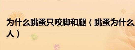 为什么跳蚤只咬脚和腿（跳蚤为什么只咬一个人）