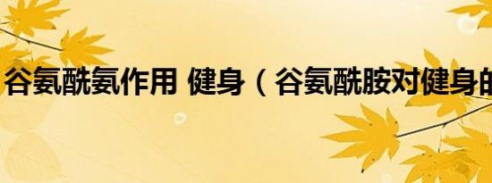 谷氨酰氨作用 健身（谷氨酰胺对健身的作用）