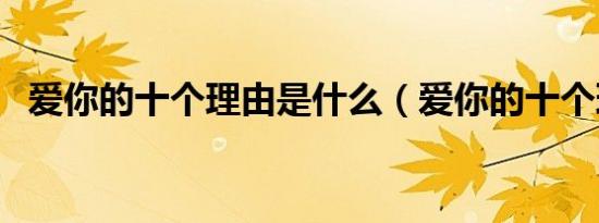 爱你的十个理由是什么（爱你的十个理由）