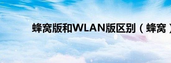 蜂窝版和WLAN版区别（蜂窝）