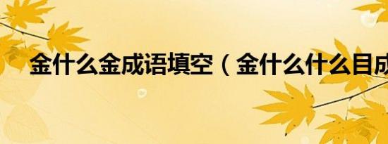 金什么金成语填空（金什么什么目成语）